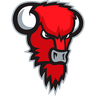 Bisons Loimaa
