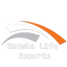 Hanwha Life Esports