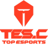 Top Esports
