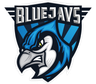 BLUEJAYS.de