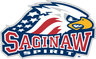Saginaw Spirit