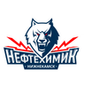 Niznekamsk
