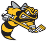 Sarnia Sting
