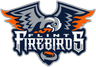 Flint Firebirds