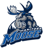 Manitoba Moose