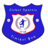 Timisul Sag