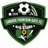 Singida Black Stars