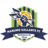 Marumo Gallants