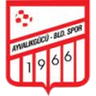 Ayvalikgucu