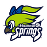 Hisamitsu Springs W